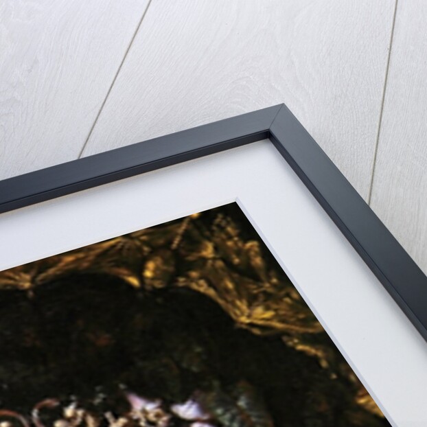 Titania Sleeping by Richard Dadd