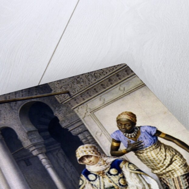 In the Harem by Achille De Dominicis