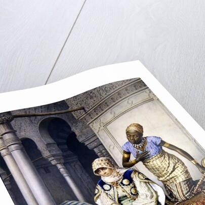 In the Harem by Achille De Dominicis