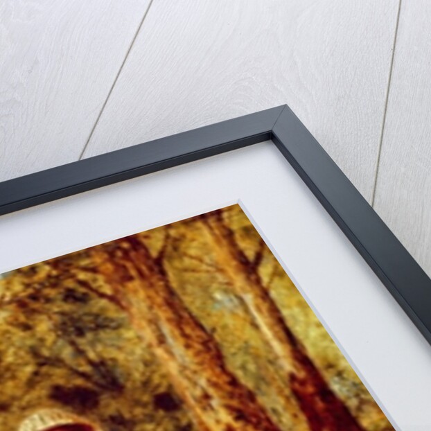 The Woodman's Courtship by John Henry Dell