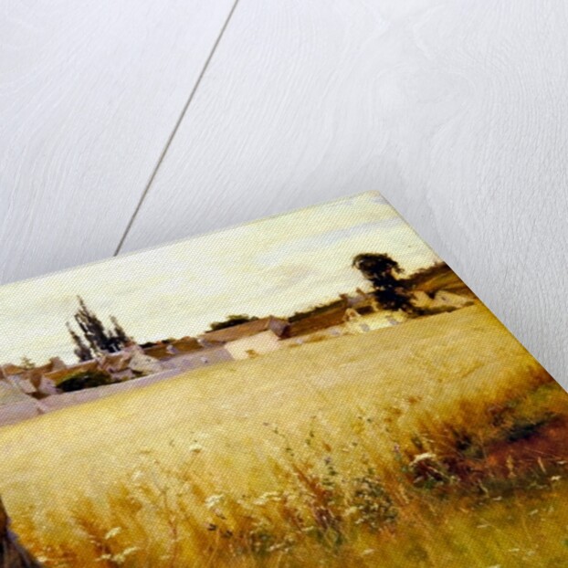 A Summer Meadow, 1887 by Henri Alphonse Louis Laurent-Desrousseaux