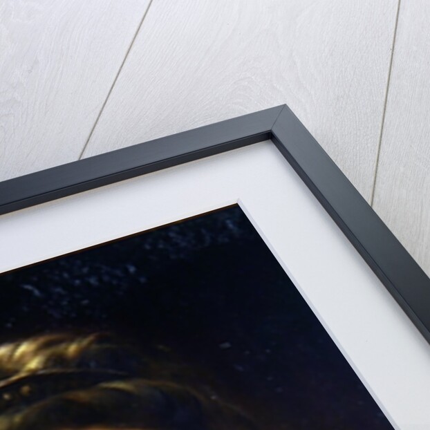 Portrait of a Lady by Frank Dicksee