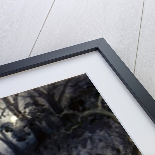 The Fairy Festival by Gustave Dore