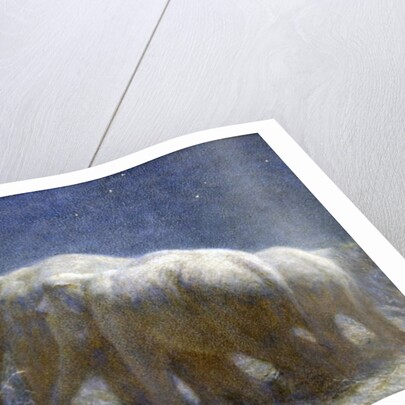 Night, 1908 by John Charles Dollman