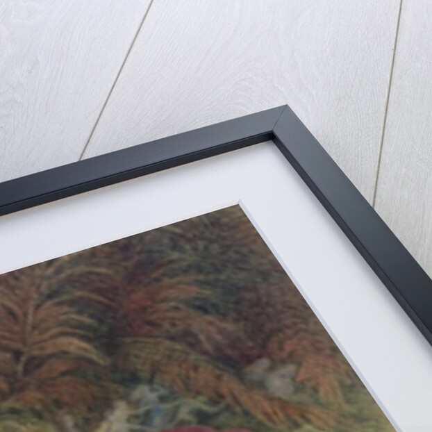 Fairy Rings and Toadstools, 1875 by Richard Doyle