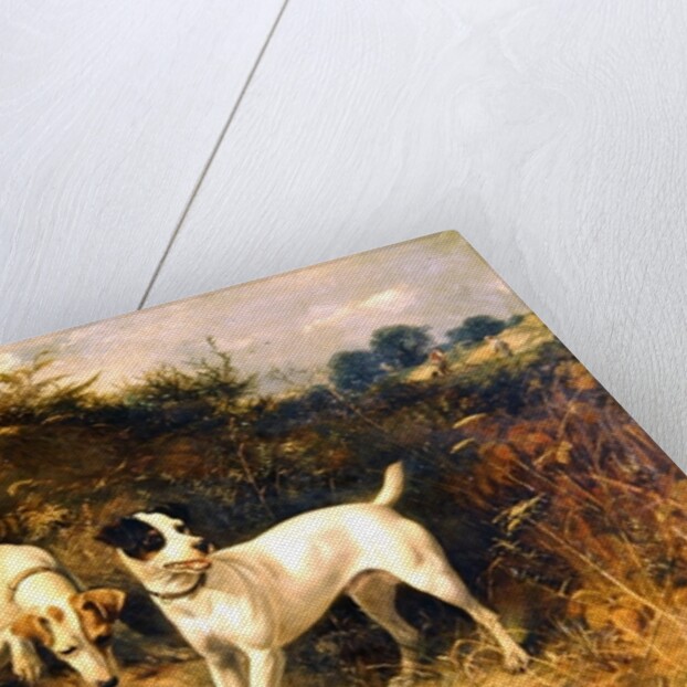 The Warrener's Friends by George Earl