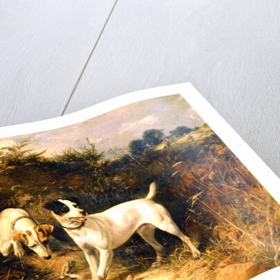 The Warrener's Friends by George Earl