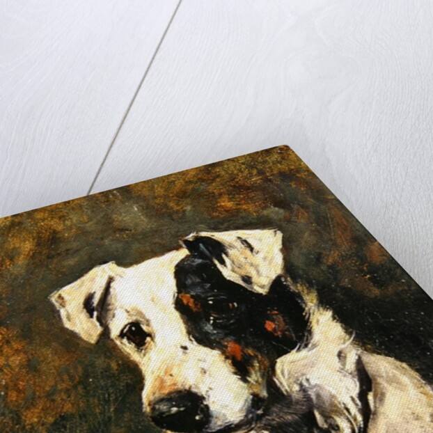 Puck, 1903 by John Emms