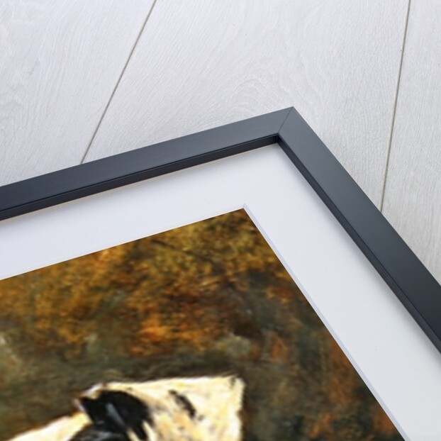 Puck, 1903 by John Emms