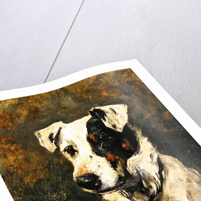 Puck, 1903 by John Emms