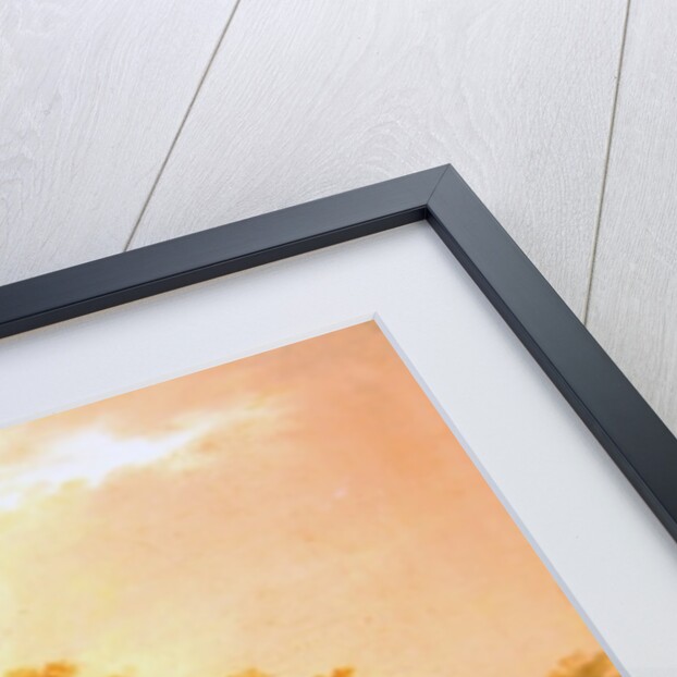 Landscape Head by English School