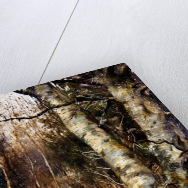 Old Warren, Bryanston by English School