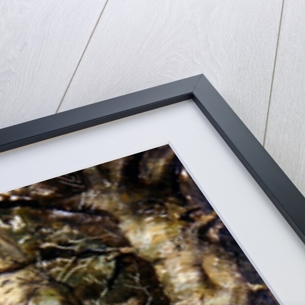 Old Warren, Bryanston by English School