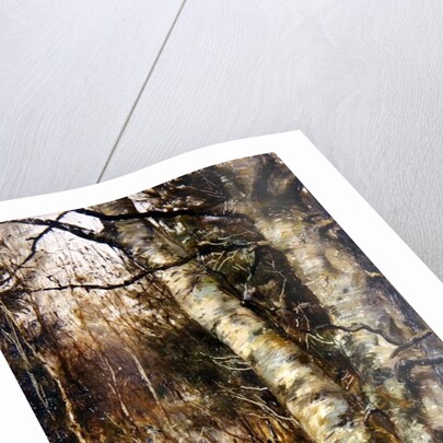 Old Warren, Bryanston by English School