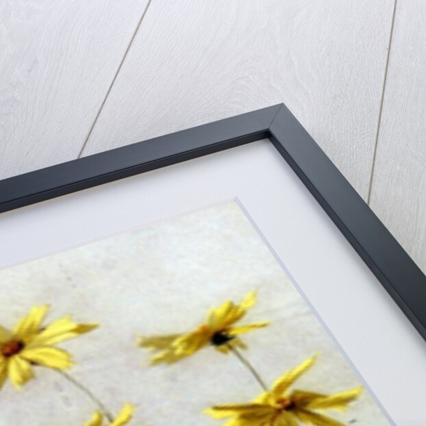 Study of Yellow Daisies, a Design for wallpaper by English School