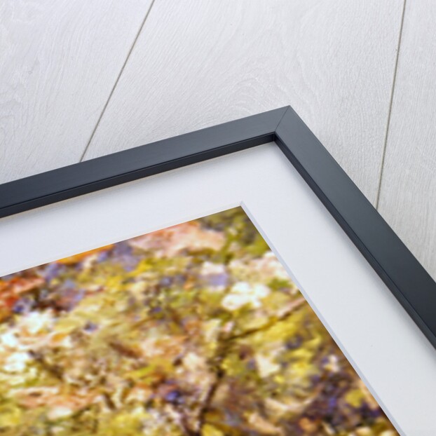 The Nymph by Robert Fowler