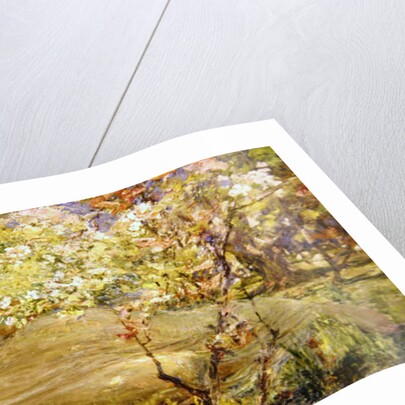 The Nymph by Robert Fowler