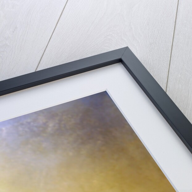 An Extensive View over Constantinople and the Golden Horn, 1840 by Jean Antoine Theodore Gudin