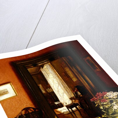 A Bit of Sunlight by Mary Hayllar