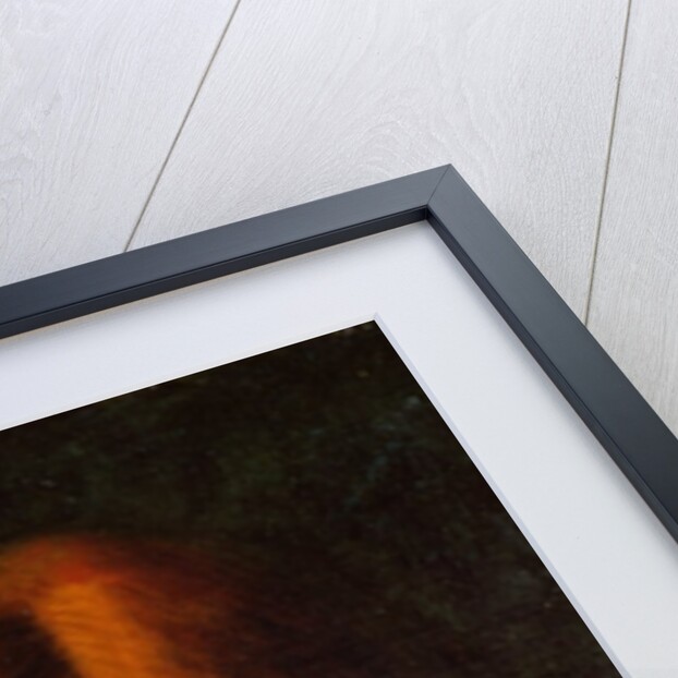 Portrait of a Lady by Jean-Jacques Henner