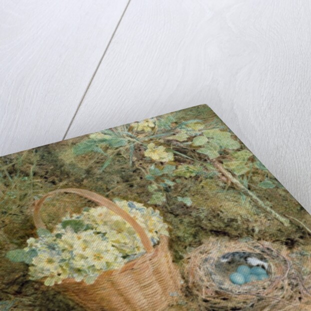 Chaffinch's Nest with Primroses by William Henry Hunt