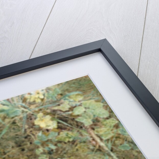 Chaffinch's Nest with Primroses by William Henry Hunt