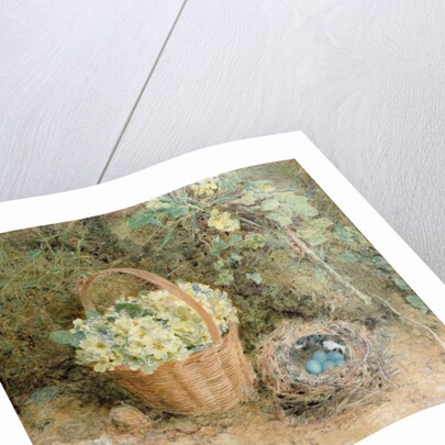Chaffinch's Nest with Primroses by William Henry Hunt