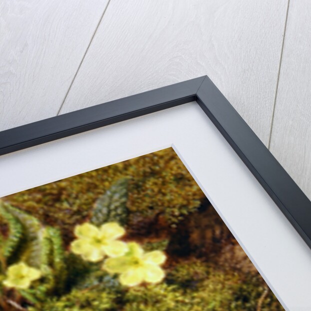 Primroses with Bird's Nest by William Henry Hunt