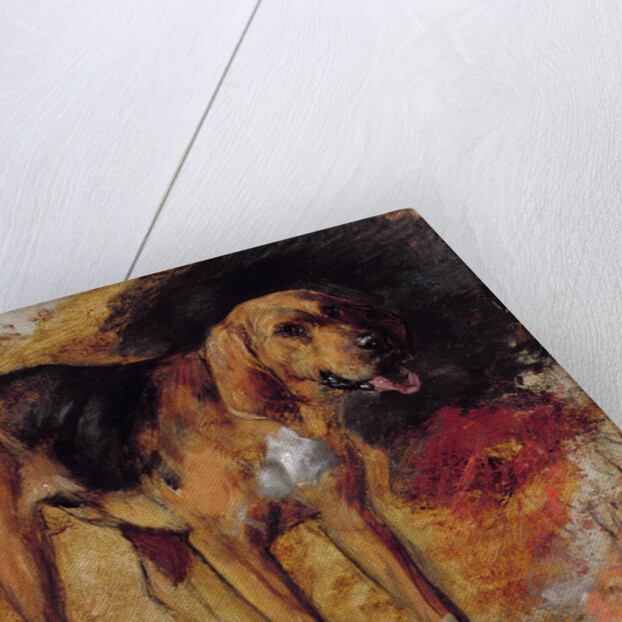 A Study of a Bloodhound, 1848 by William Holman Hunt