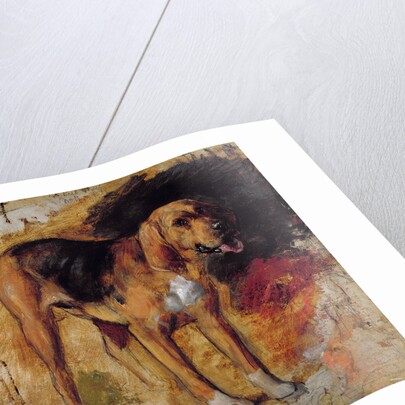 A Study of a Bloodhound, 1848 by William Holman Hunt