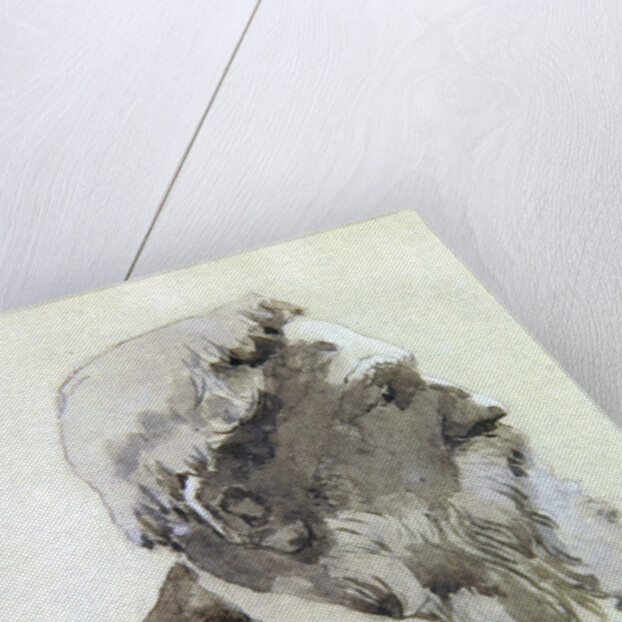 Portrait study of August Rodin by Gwen John