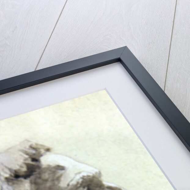 Portrait study of August Rodin by Gwen John