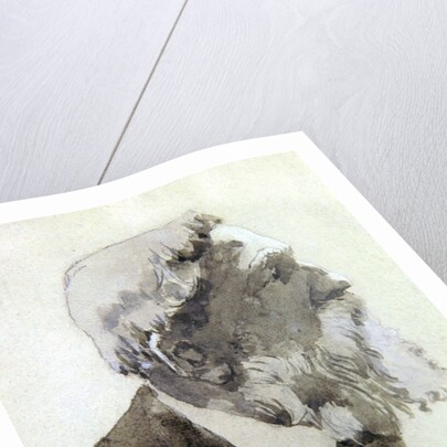 Portrait study of August Rodin by Gwen John