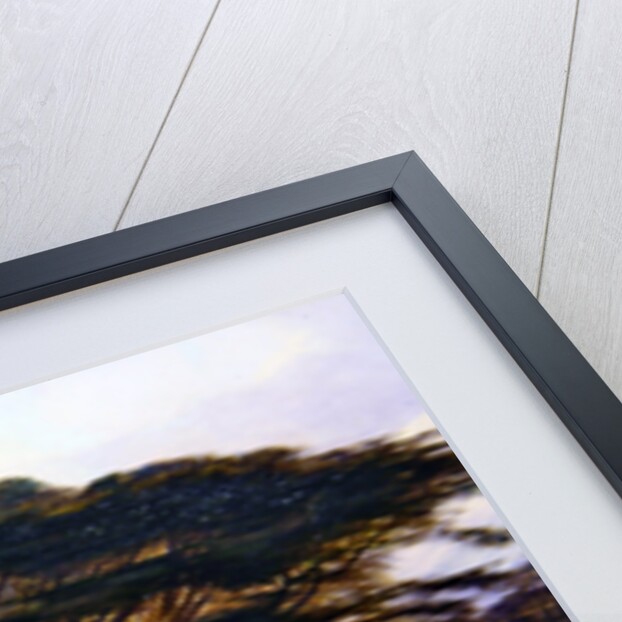 The Cedars of Lebanon, 1861 by Edward Lear