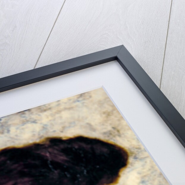 Youth by Alfred Morgan