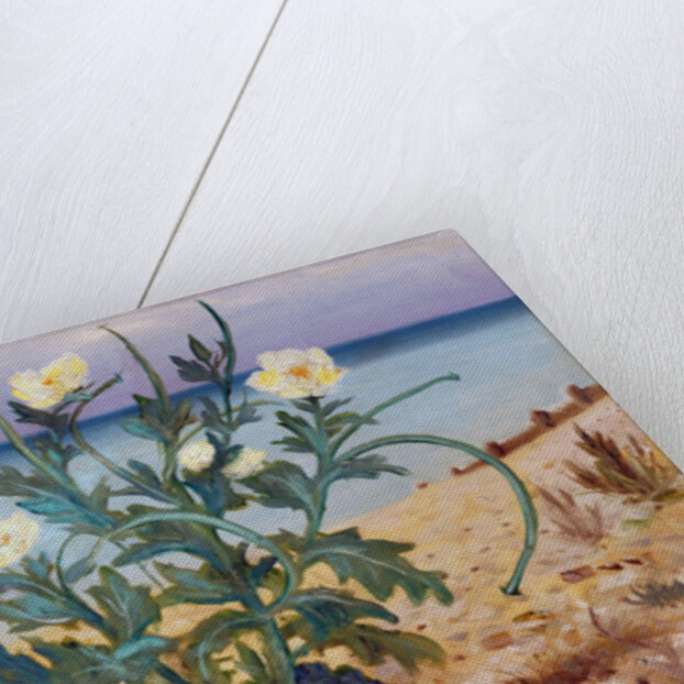 Sand Dunes, East Coast, 1944 by Christopher Richard Wynne Nevinson