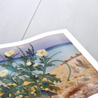 Sand Dunes, East Coast, 1944 by Christopher Richard Wynne Nevinson