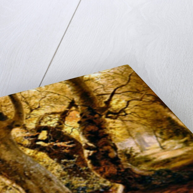 A Wooded Landscape, 1887 by Andrew McCallum