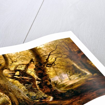 A Wooded Landscape, 1887 by Andrew McCallum