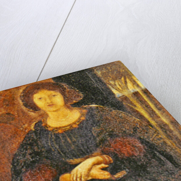 Beautiful and Blonde and Coloured, 1860 by Edward Coley Burne-Jones