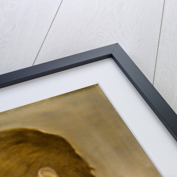 Portrait of Marie Spartali by Edward Coley Burne-Jones