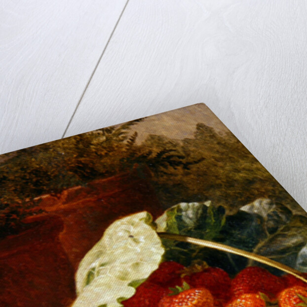 Strawberries in a cabbage leaf, 1891 by Eloise Harriet Stannard