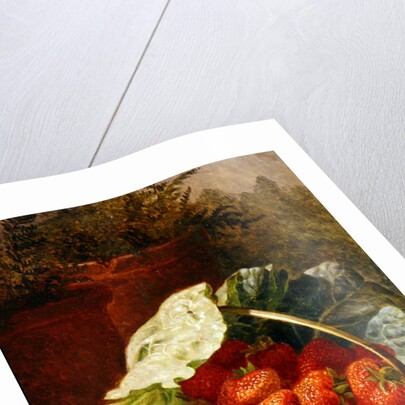 Strawberries in a cabbage leaf, 1891 by Eloise Harriet Stannard