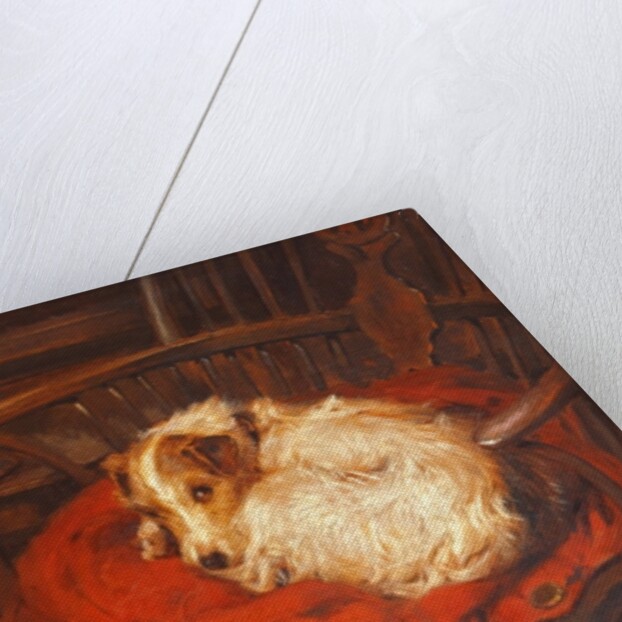 A Favourite Chair, 1903 by Philip Eustace Stretton