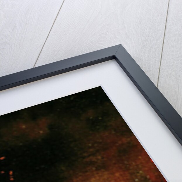 Volcano, Hawaii, 1888 by Jules Tavernier