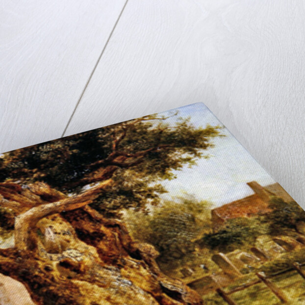 The Old Oak, 1870 by Joseph Thors