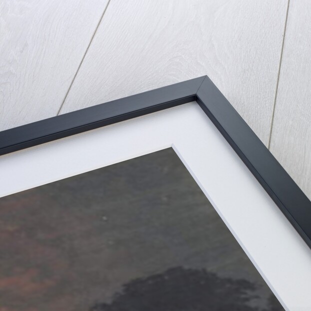 The Zeppelin which fell at Cuffley, 1916 by William Stephen Tomkin