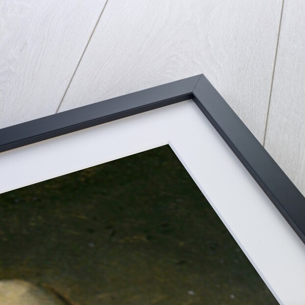 Self-Portrait in a broad-brimmed Hat, 1848 by Anthony Frederick Augustus Sandys