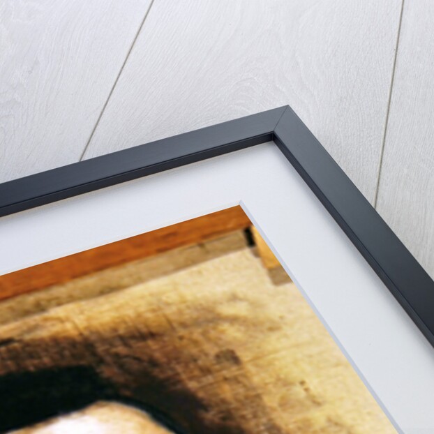 Head of a man, 1905 by John Singer Sargent