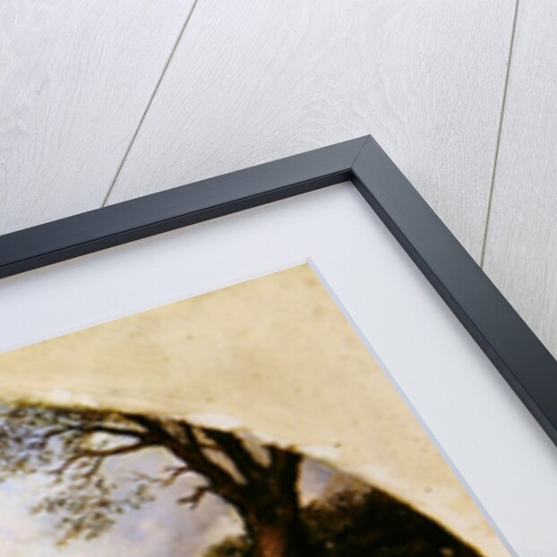 Prince Arthur and the Fairy Queen by School Scottish